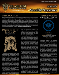 Veil and Bone January Newsletter