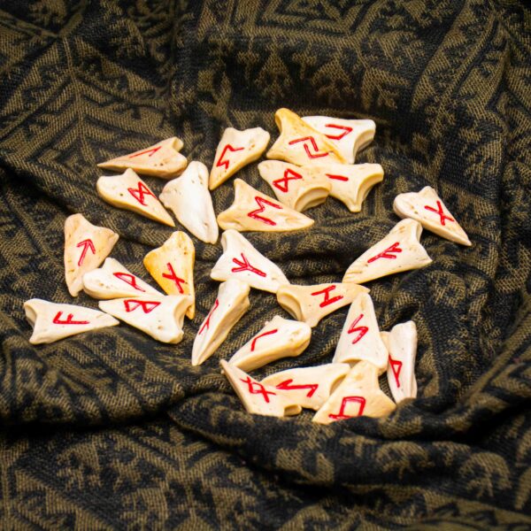 Handmade Bone Elder Futhark Rune Set