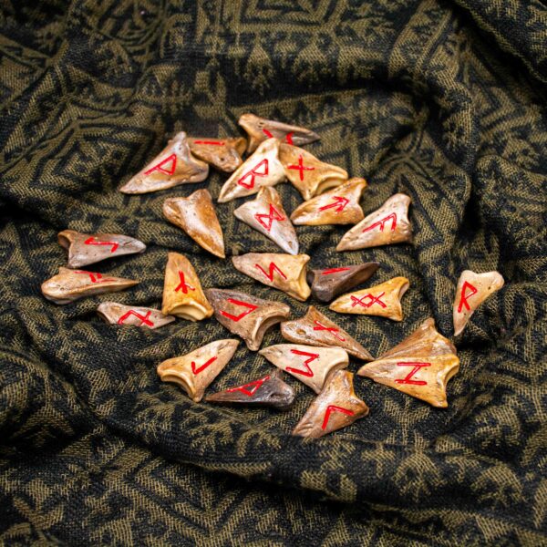 Handmade Aged Bone Elder Futhark Rune Set