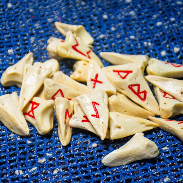 Handmade Bone Elder Futhark Rune Set